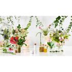 Alternate image 2 for Physicians Formula&reg; 0.15 oz. Organic Wear&reg; Tinted Lip Treatment in Love Bite