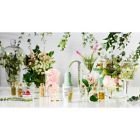 Alternate image 3 for Physicians Formula&reg; 1 oz. Organic Wear&reg; Bright Booster Oil Elixir