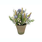 Alternate image 0 for Bee &amp; Willow&trade; 12-Inch Faux Floral Arrangement with Terracotta Pot