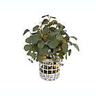 Alternate image 1 for Bee & Willow&trade; 16-Inch Faux Lighted Greenery Arrangement with Rattan Basket