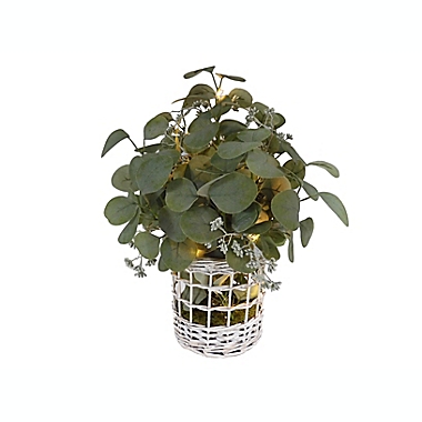 Bee & Willow&trade; 16-Inch Faux Lighted Greenery Arrangement with Rattan Basket. View a larger version of this product image.