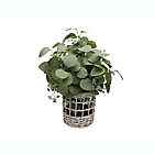 Alternate image 0 for Bee & Willow&trade; 16-Inch Faux Lighted Greenery Arrangement with Rattan Basket