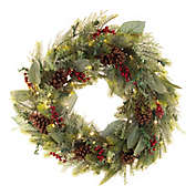 Village Lighting Company&reg; 30-Inch Winter Frost Pre-Lit LED Christmas Wreath
