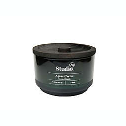Studio 3B™ Agave Cactus 3-Wick 14.5 oz. Glass Jar Candle