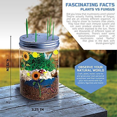 Discovery&trade; #MINDBLOWN DIY Terrarium Grow Kit. View a larger version of this product image.