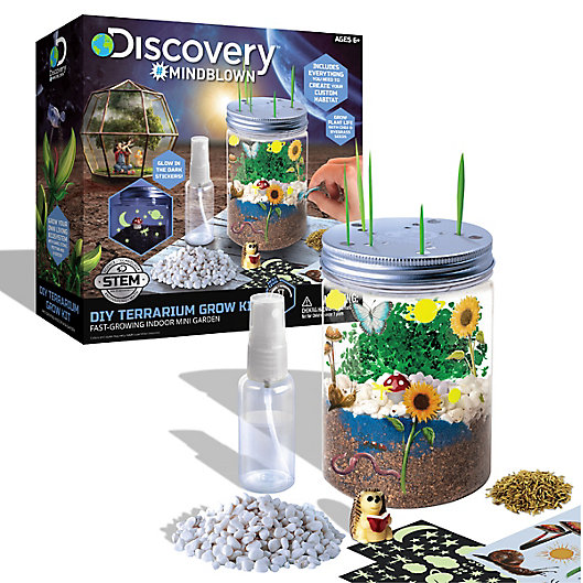 Alternate image 1 for Discovery™ #MINDBLOWN DIY Terrarium Grow Kit