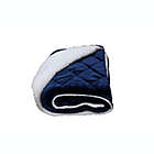 Alternate image 0 for HomeRoots Quilted Throw Blanket in Navy/Blue