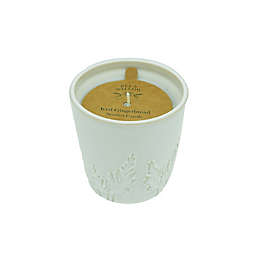 Bee & Willow™ Iced Gingerbread 8 oz. Ceramic Cedar Branch Candle