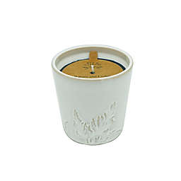 Bee & Willow™ Balsam and Cedar 8 oz. Ceramic Cedar Branch Candle