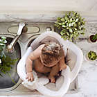 Alternate image 4 for Blooming Baby&trade; Blooming Bath Lotus in Grey