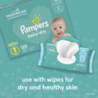 Alternate image 9 for Pampers&reg; Baby Dry&trade; Disposable Diapers Collection
