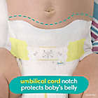 Alternate image 6 for Pampers&reg; Swaddlers&trade; 27-Count Size Preemie Jumbo Disposable Diapers