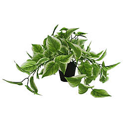 Simply Essential™ 12-Inch Faux Pothos Plant in Green with Plastic Planter