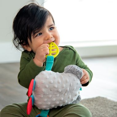 Sassy&reg; Koala Mirror Sensory Toy. View a larger version of this product image.