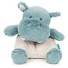 Alternate image 0 for GUND&reg; Oh So Snuggly Hippo Plush