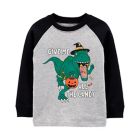 Alternate image 0 for carter&#39;s&reg; Size 3T Halloween Dinosaur Long Sleeve Jersey Tee in Heather