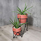 Alternate image 1 for Studio 3B&trade; Rockwell Ceramic Planter in Terracotta with Metal Stand