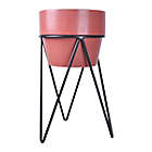 Alternate image 2 for Studio 3B&trade; Rockwell Ceramic Planter in Terracotta with Metal Stand