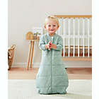 Alternate image 1 for ergoPouch&reg; Size 3-12M 3.5 TOG Organic Cotton Jersey Wearable Sleep Bag