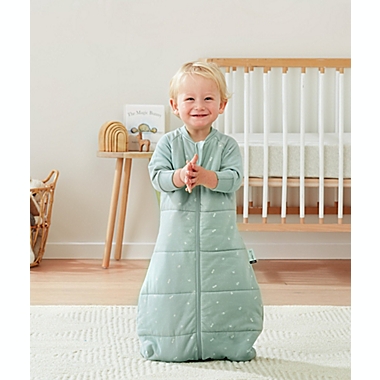 ergoPouch&reg; Size 3-12M 3.5 TOG Organic Cotton Jersey Wearable Sleep Bag. View a larger version of this product image.