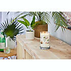 Alternate image 1 for Yankee Candle&reg; Coconut Beach Signature Collection Candle Collection