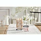 Alternate image 1 for Yankee Candle&reg; Vanilla Cr&egrave;me Brul&eacute;e Signature Collection Candle Collection