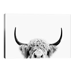 iCanvas Peeking Cow In Black & White 12-Inch x 18-Inch Canvas Wall Art