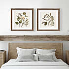 Alternate image 1 for Bee &amp; Willow&trade; Floral Print 30-Inch Square Framed Wall Art in Natural (Set of 2)