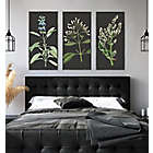 Alternate image 1 for Bee &amp; Willow&trade; Botanical Embellished Framed Canvas Wall Art (Set of 3)