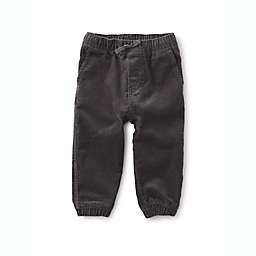 Tea Collection Corduroy Pant in Grey