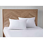 Alternate image 1 for Truly Calm&reg; 2-Pack Antimicrobial King Bed Pillows