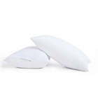 Alternate image 0 for Truly Calm&reg; 2-Pack Antimicrobial King Bed Pillows