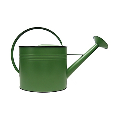 Everhome&trade; Watering Can in Green. View a larger version of this product image.