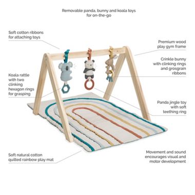 Itzy Ritzy&reg; Bespoke&trade; Activity Gym in Rainbow. View a larger version of this product image.
