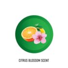 Alternate image 2 for Hoover&reg; Renewal 32 oz. Multi-Surface Cleaning Formula