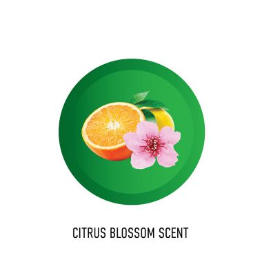 Hoover&reg; Renewal 32 oz. Multi-Surface Cleaning Formula. View a larger version of this product image.