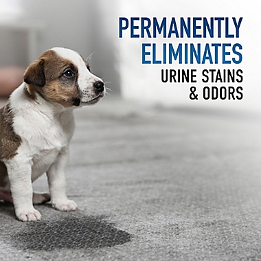 Hoover&reg; 50 oz. Oxy Pet Urine & Stain Eliminator. View a larger version of this product image.