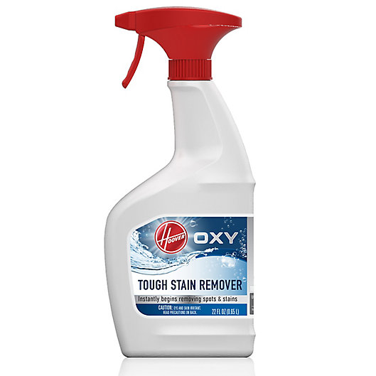 Alternate image 1 for Hoover® 22 oz. Oxy Spot Remover
