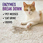 Alternate image 5 for Hoover&reg; 22 oz. Paws and Claws Urine Eliminator