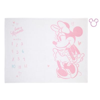Disney Baby&reg; Minnie Mouse Milestone Baby Blanket in Pink