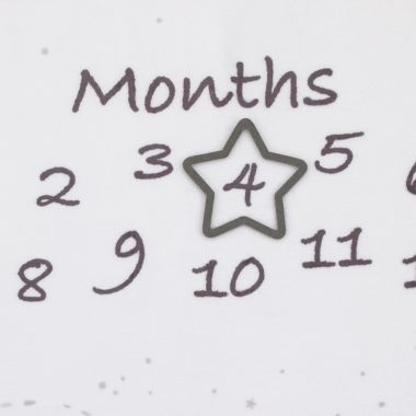 Disney Baby&reg; Dumbo Milestone Baby Blanket in Grey. View a larger version of this product image.