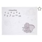 Alternate image 0 for Disney Baby&reg; Dumbo Milestone Baby Blanket in Grey