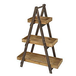 3-Tier Ladder Plant Stand in Natural Wood