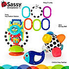 Alternate image 1 for Sassy&reg; Discover the Senses Gift Set