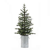 Luxen Home 4-Foot Pre-Lit Artificial Christmas Tree with Metal Pot and Warm White LED Lights