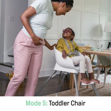 Ingenuity&trade; Beanstalk Baby to Big Kid 6-in-1 High Chair in Gray. View a larger version of this product image.