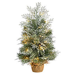 Nearly Natural 2-Foot Winter Frosted Artificial Christmas Tree with White LED Lights