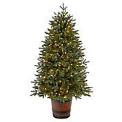 Nearly Natural 5-Foot Colorado Pre-Lit Artificial Christmas Tree with Clear LED Lights