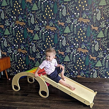 Cassarokids&reg; Small Reversible Wooden Rock Climbing Ramp/Slide in Natural. View a larger version of this product image.