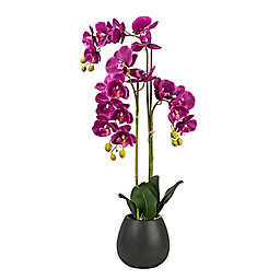 LCG Floral 32-Inch Artificial Fuchsia Orchid with Black Ceramic Pot